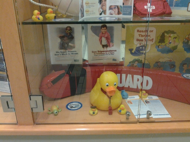 Ducks at the library