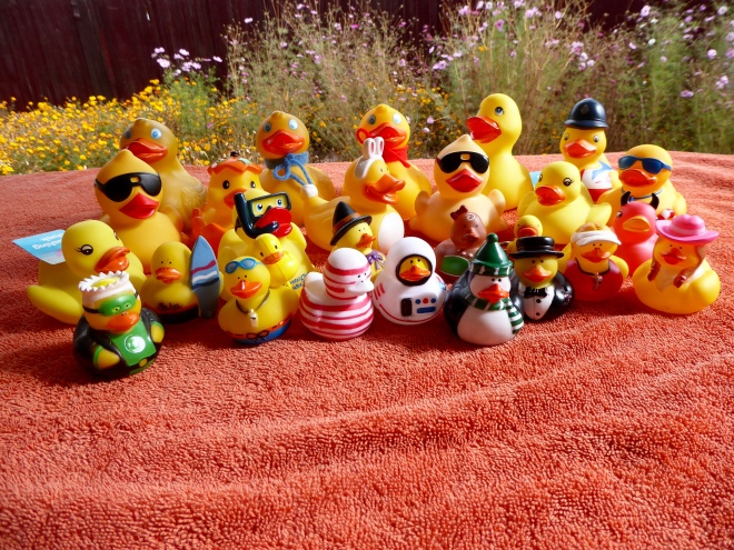 We love National Rubber Ducky Day!!