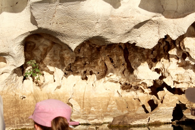 Into cave with fossils on wall