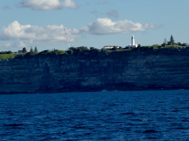 Steep cliffs as we leave Sydney Harbor