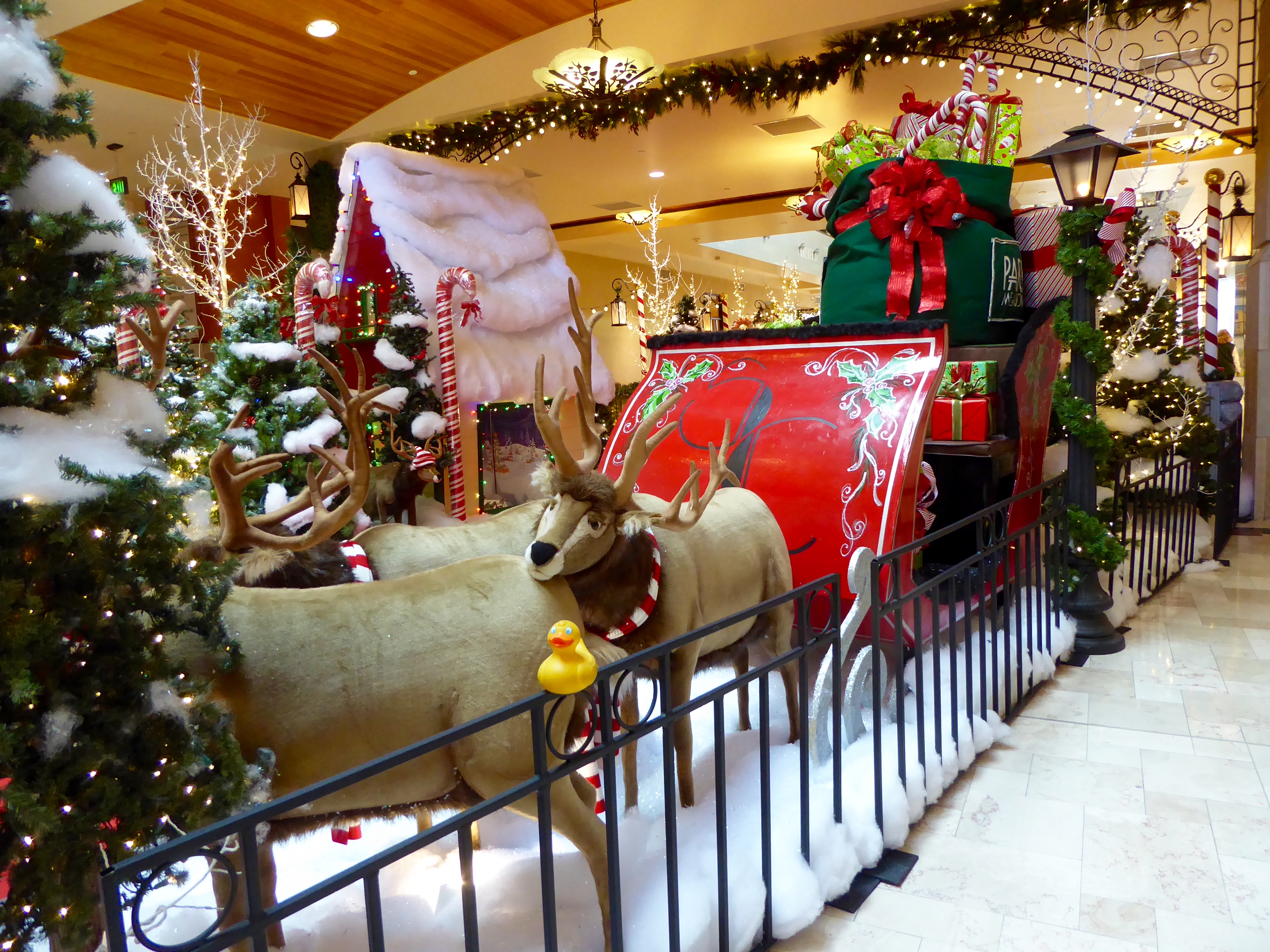 Pictures of Park Meadows Mall at Christmas