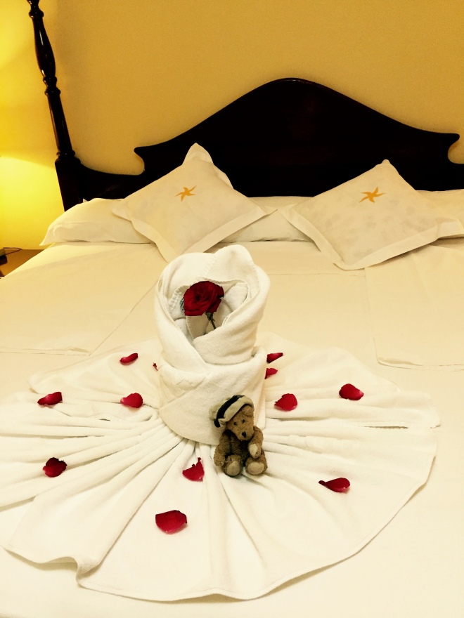 Trinidad Cuba highlights rose and rose petals for Channel the Bear